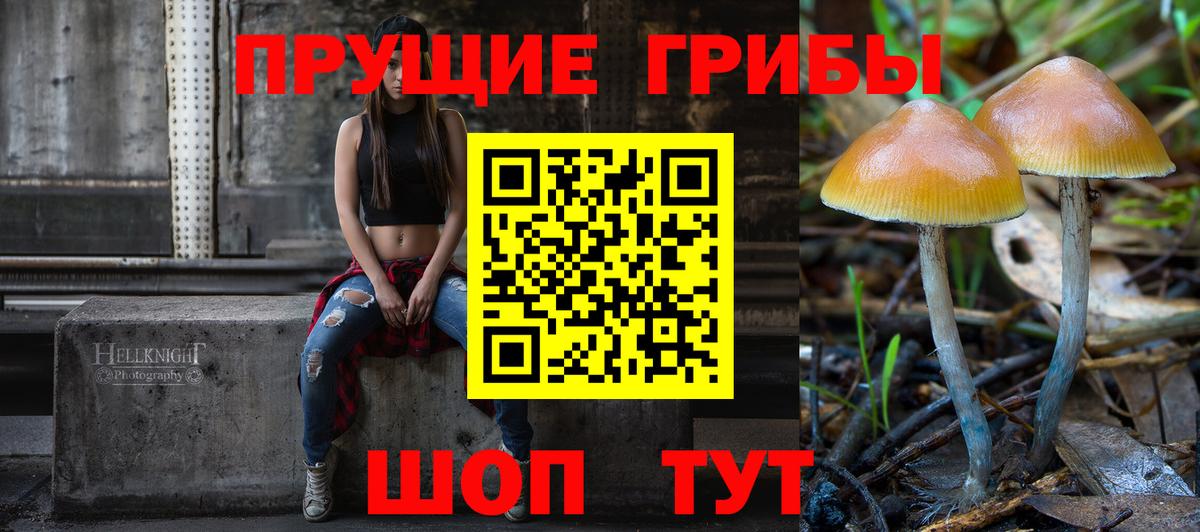 Галлюциногенные грибы Magic Shrooms Новотроицк