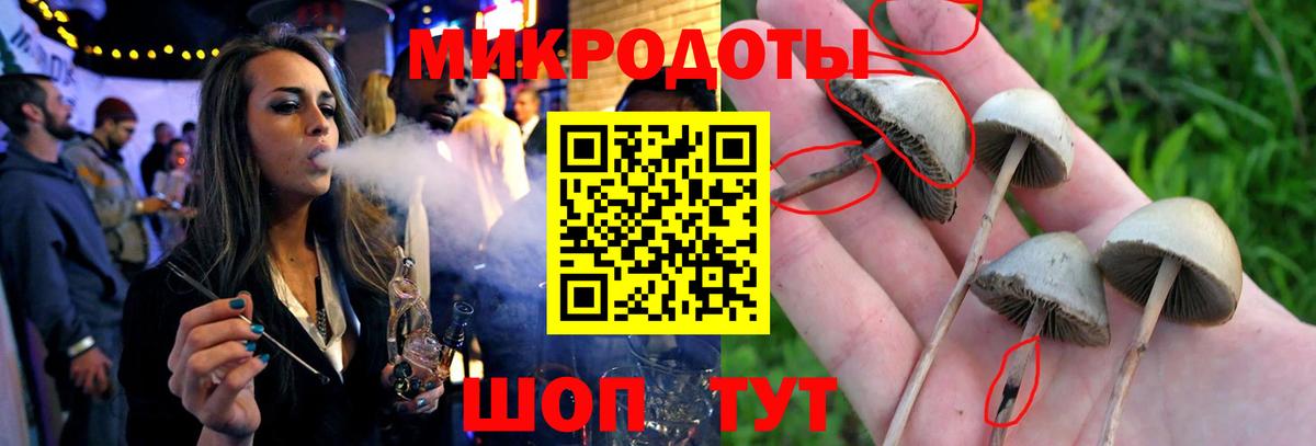 Новотроицк  Псилоцибиновые грибы Psilocybe  Вход с VPN  Псилоцибиновые грибы Psilocybine cubensis 